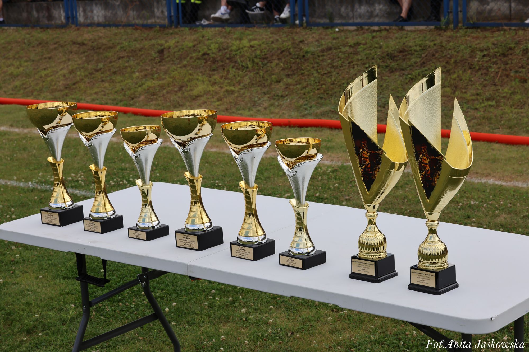 Siedem złotych pucharów różnej wielkości na białym stole, trawa i ziemia w tle, częściowo widoczny murek i niebieska bariera.