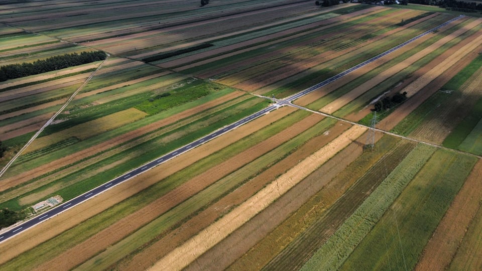 Pola uprawne w różnych odcieniach zieleni i brązu podzielone prostokątnymi pasami, z przecinającą je drogą oraz linią wysokiego napięcia na tle cienia drzew.