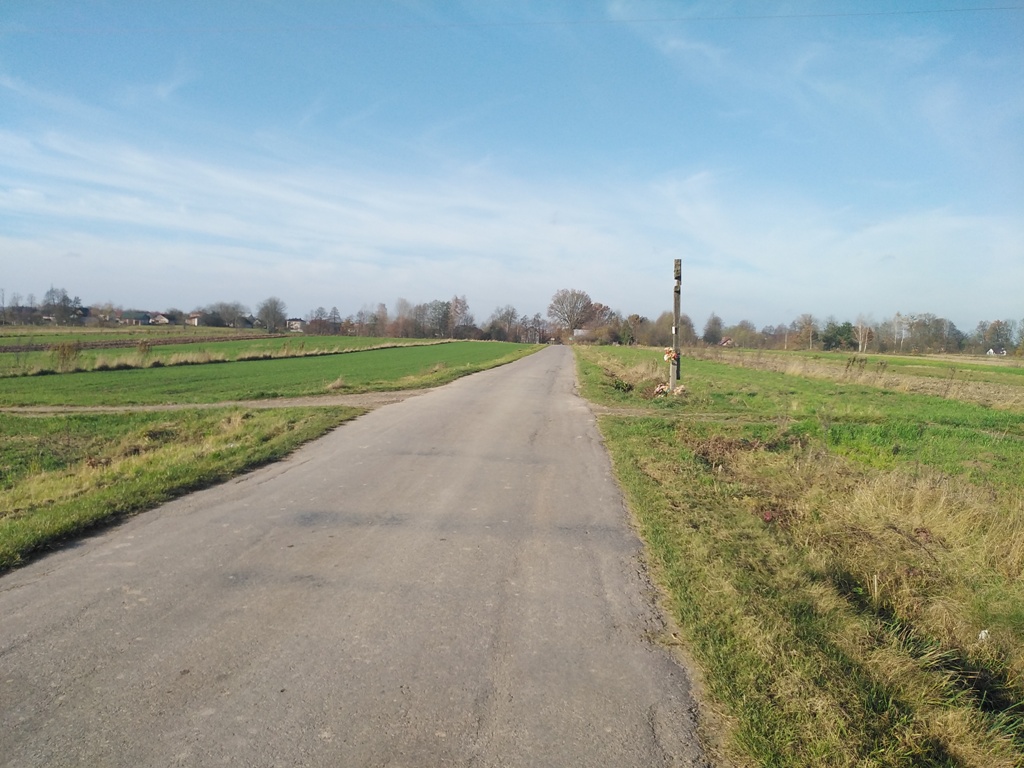 Asfaltowa droga na tle zielonych łąk i drzew pod jasnym, lekko zachmurzonym niebem.