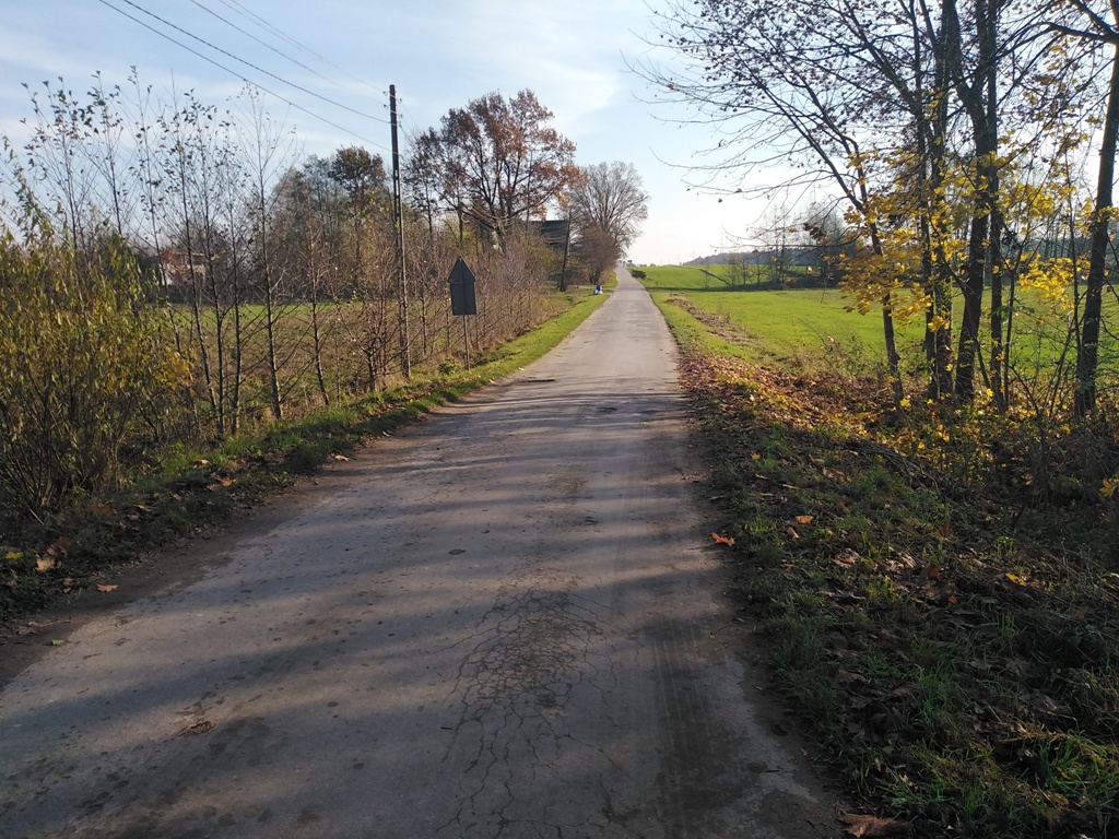 Asfaltowa wiejska droga wśród jesiennych drzew, po bokach zielone pola i krzewy, niebieskie niebo z delikatnymi chmurami.