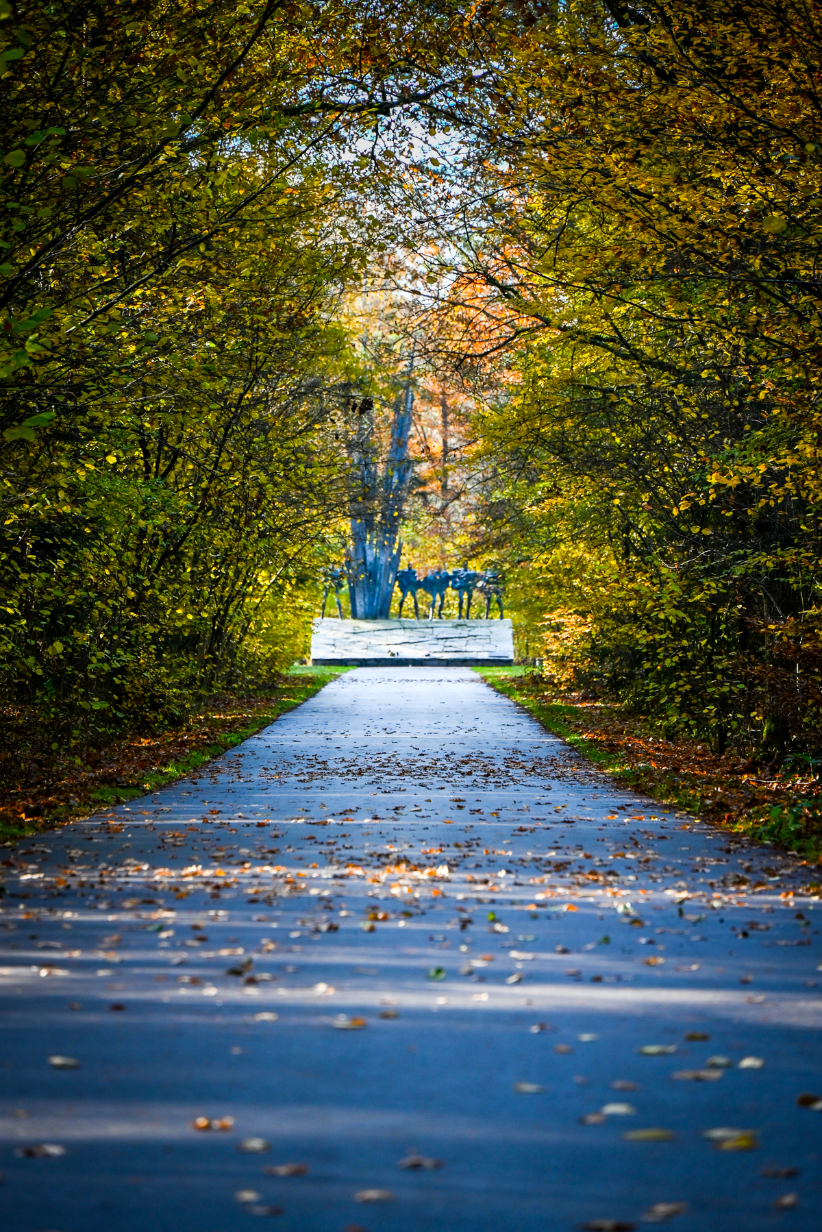 Ścieżka w parku pokryta opadłymi liśćmi, po bokach drzewa z zielonymi i żółtymi liśćmi, na końcu ścieżki metalowa rzeźba trzech koni na białym postumencie.