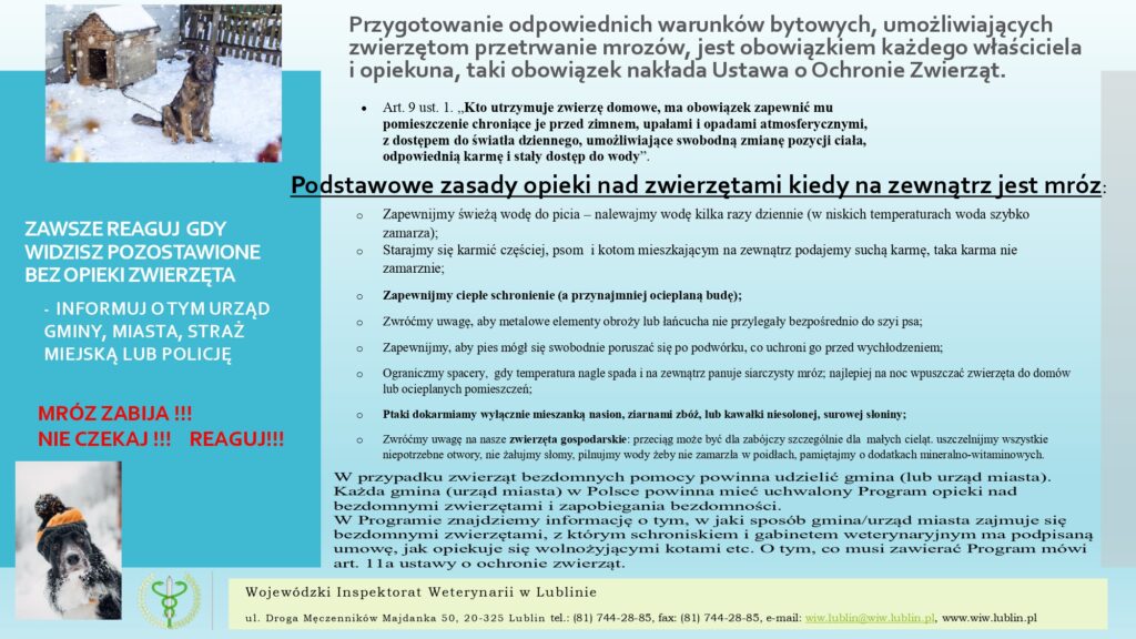 Pies na łańcuchu w śniegu obok drewnianej, ośnieżonej budy, drugi pies w kapeluszu na śnieżnym tle, zielone logo inspektoratu weterynarii.
