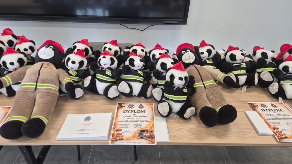 Pluszowe misie pandy i misie w strażackich mundurach z czerwonymi czapkami na drewnianym stole obok dyplomów i białych kopert, szare ściany i czarny ekran w tle.