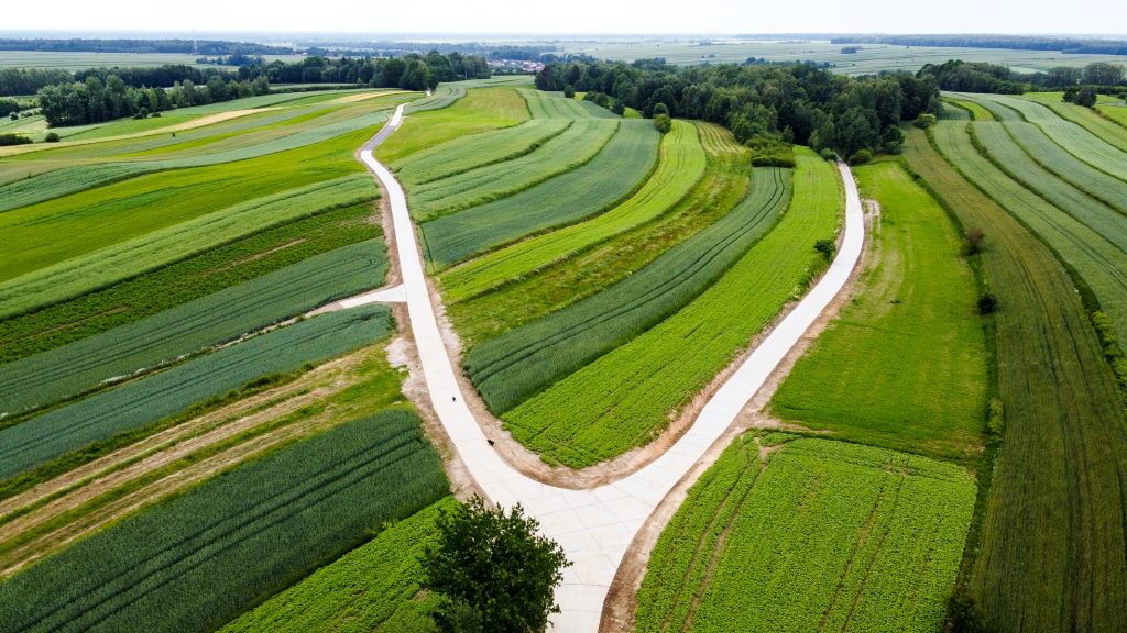 Drogi betonowe przecinające zielone pola uprawne w krajobrazie rolniczym z widokiem na las w tle.