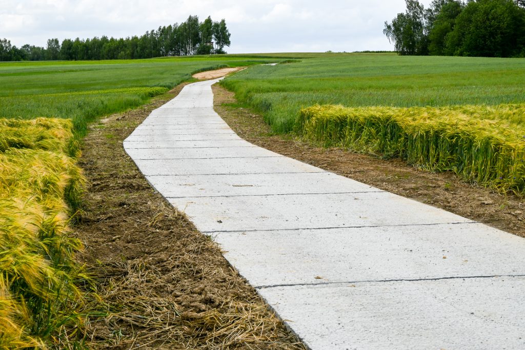 Wąska betonowa droga na tle zielonych pól i żółtych kłosów z drzewami na horyzoncie pod pochmurnym niebem.